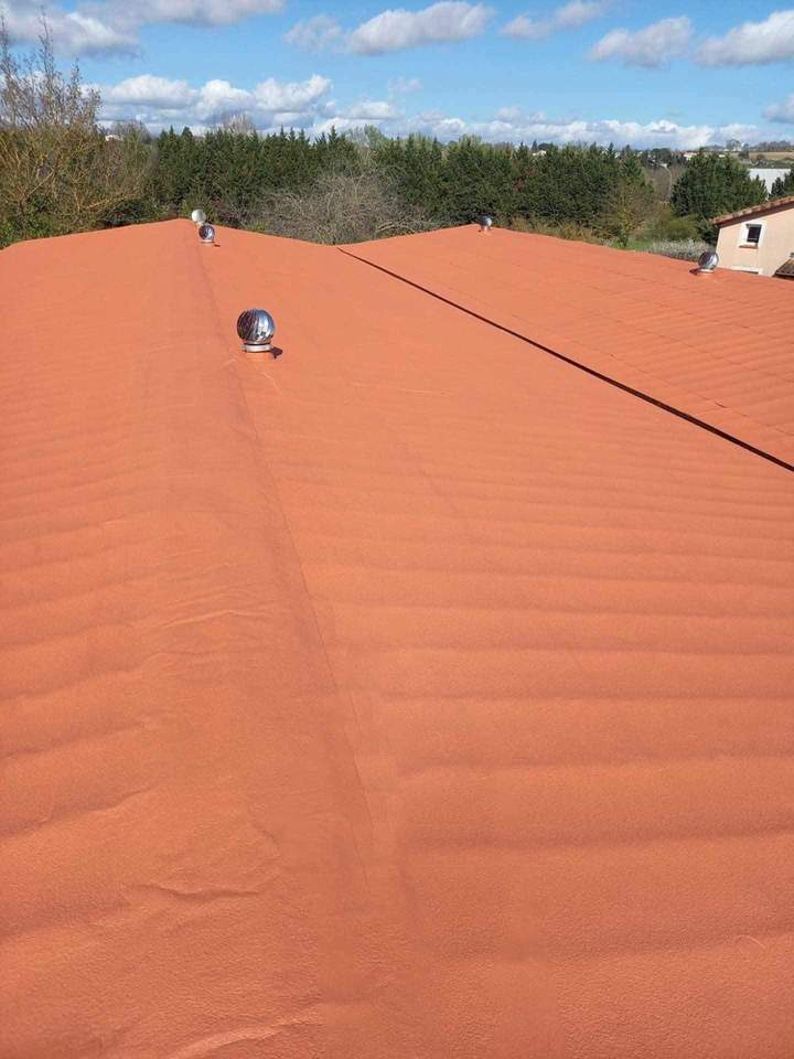 Toiture nettoyée Balma